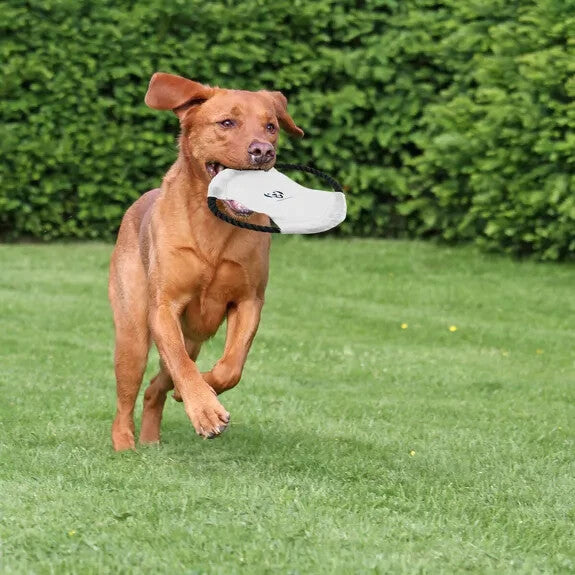 2e53ce1f92fbc43222e8ff1223208dc6